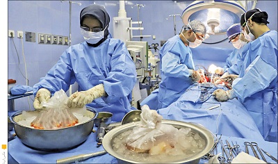 افزایش اهدای عضو در آلمان؛ ۸۱۰۰ نفر همچنان در انتظاراهدای عضو